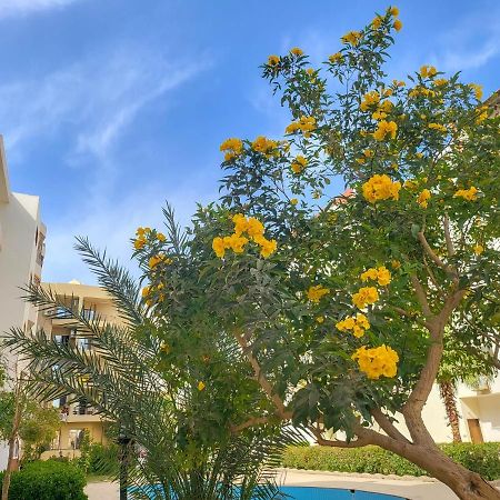 Apartments 1000 And 1 Night Redsealine Хургада Экстерьер фото