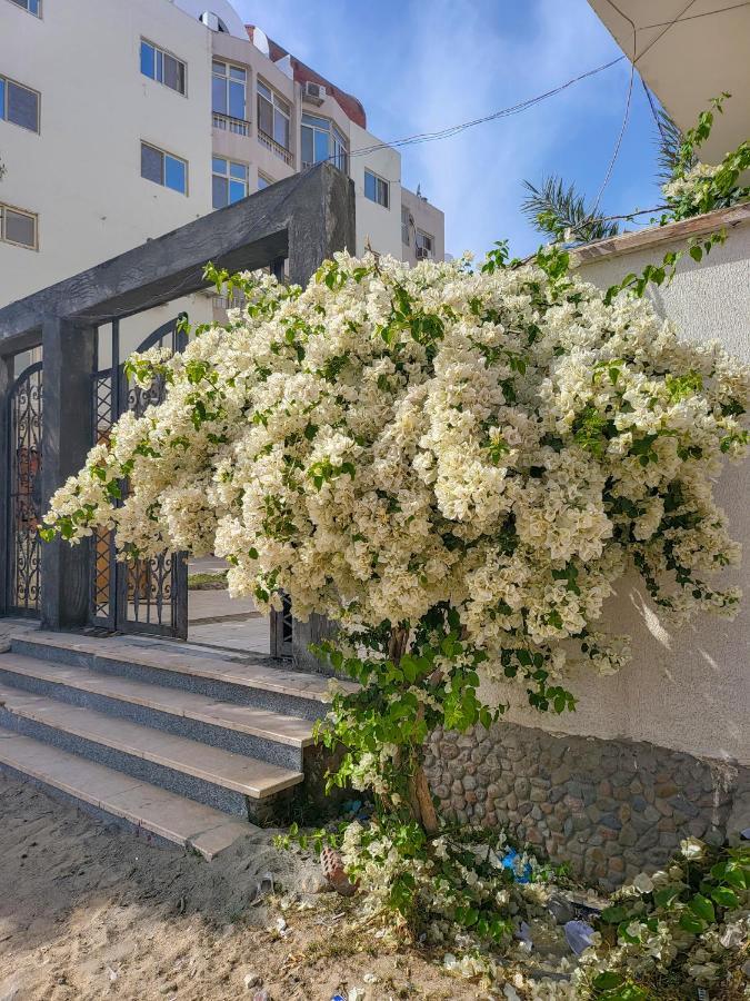 Apartments 1000 And 1 Night Redsealine Хургада Экстерьер фото